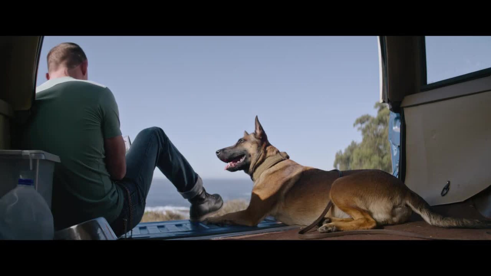 Tráiler 'Dog. Un viaje salvaje'