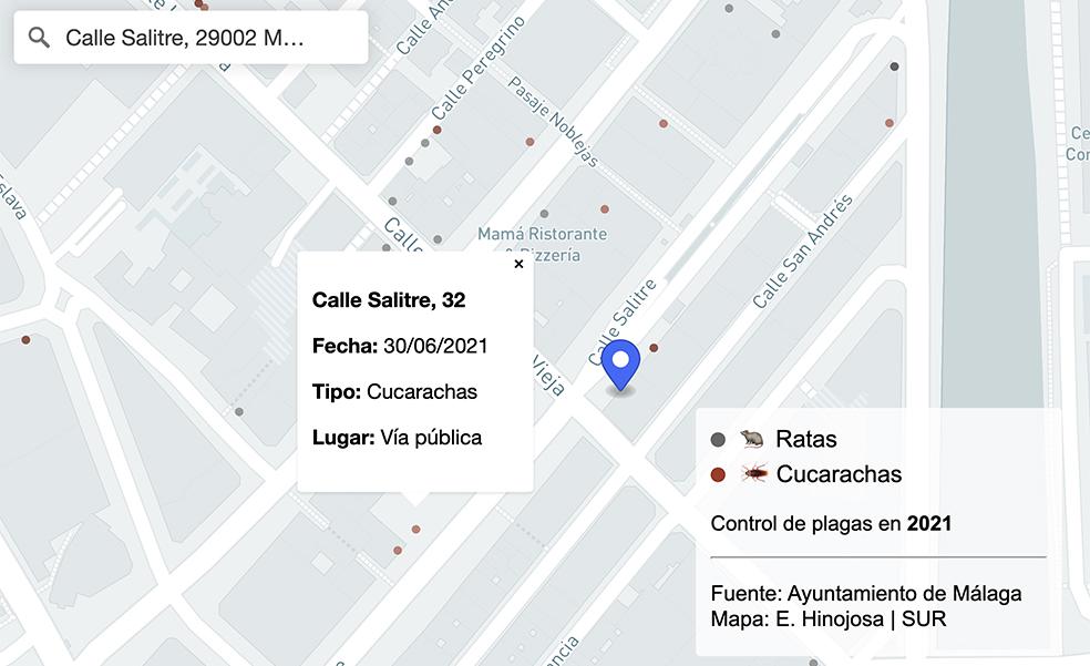 Actuaciones contra ratas y cucarachas en Málaga: busca si cerca de tu calle han operado los 'cazabichos'