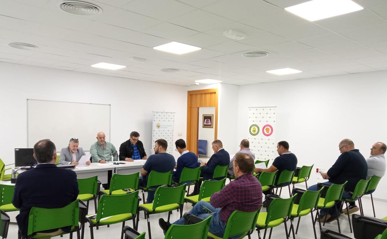 Imagen de la asamblea en la que fue reelegido Javier Braun como presidente del colectivo de productores de tropicales. 