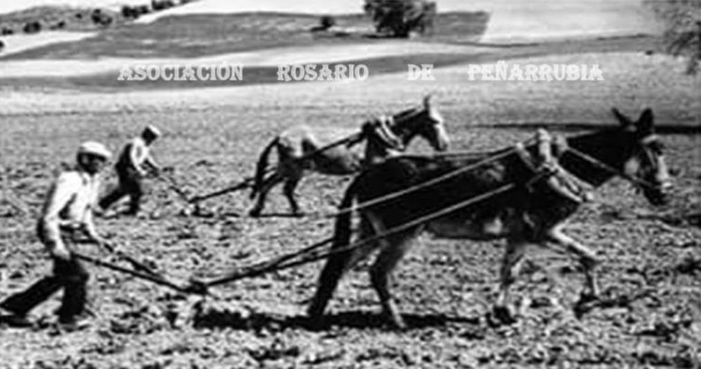 En los primeros meses de 1972 los vecinos se vieron obligados a abandonar su pueblo, que desapareció bajo las aguas del pantano del Guadalteba. 