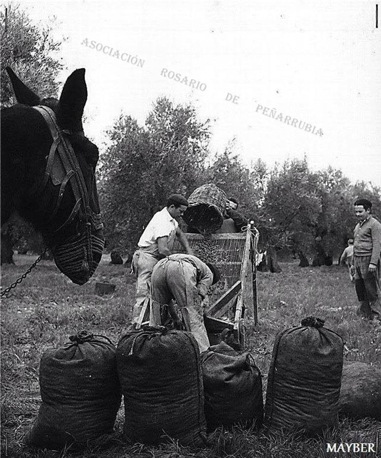 En los primeros meses de 1972 los vecinos se vieron obligados a abandonar su pueblo, que desapareció bajo las aguas del pantano del Guadalteba. 