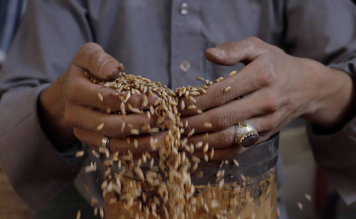 Amplían el aviso para alérgicos al gluten por un bulgur vendido en España