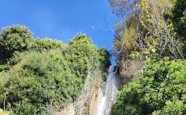 Cascadas. Tanto en el Genal como en sus afluentes se pueden ver saltos de agua impresionantes. 