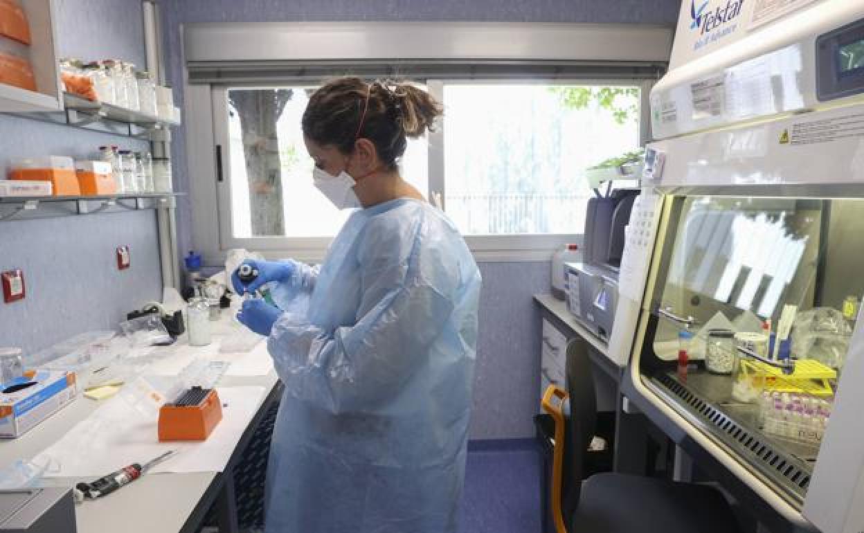 Una investigadora en el laboratorio de arbovirus y enfermedades víricas importantes del Centro Nacional de Microbiología. 