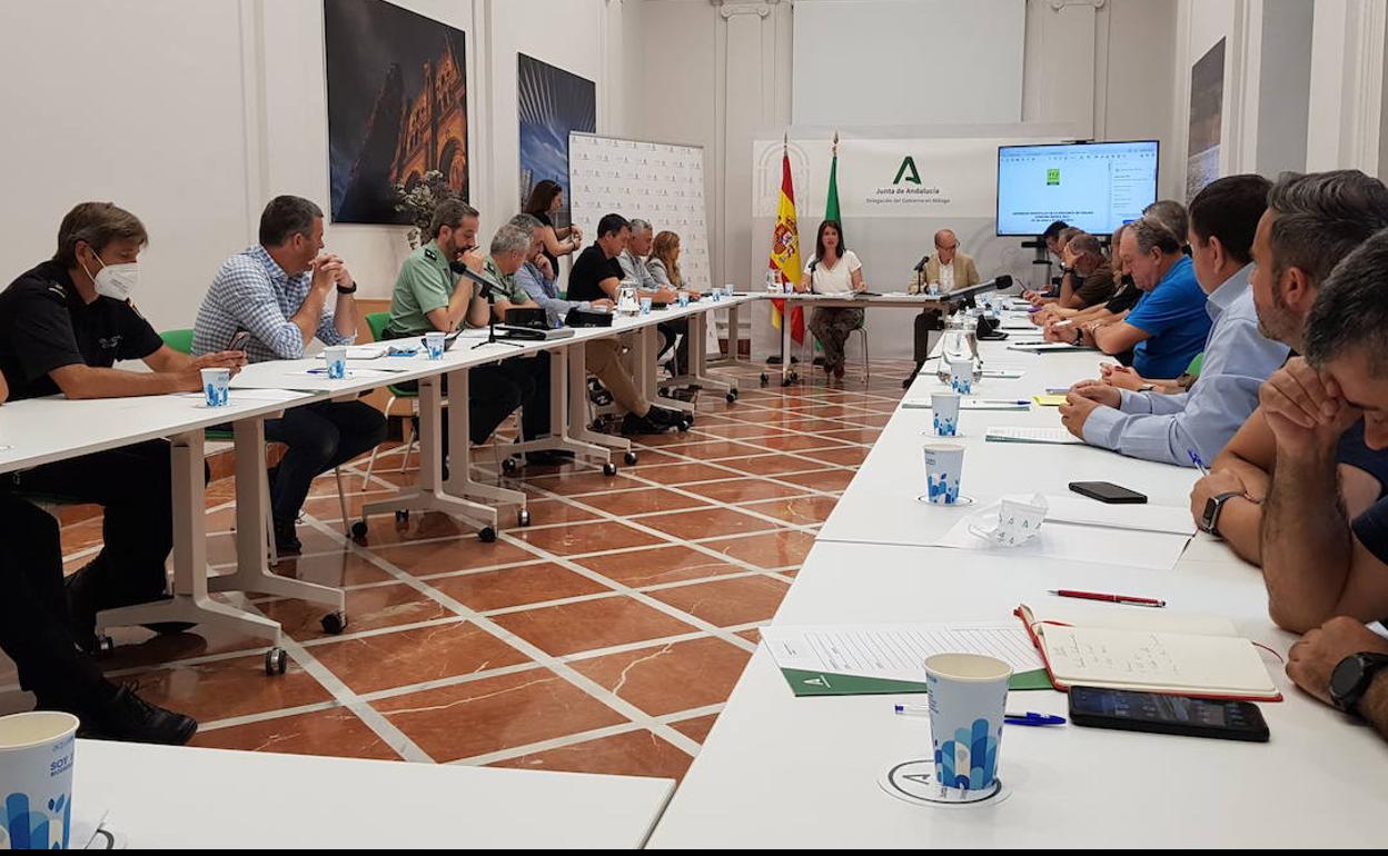 Fotos de la reunión del comité asesor del Plan Infoca reunido hoy