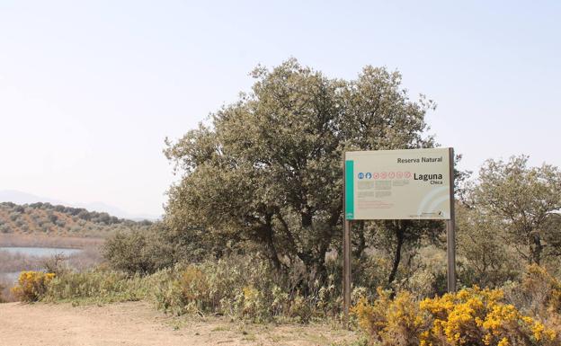 Sitio Ramsar de las Lagunas de Archidona.