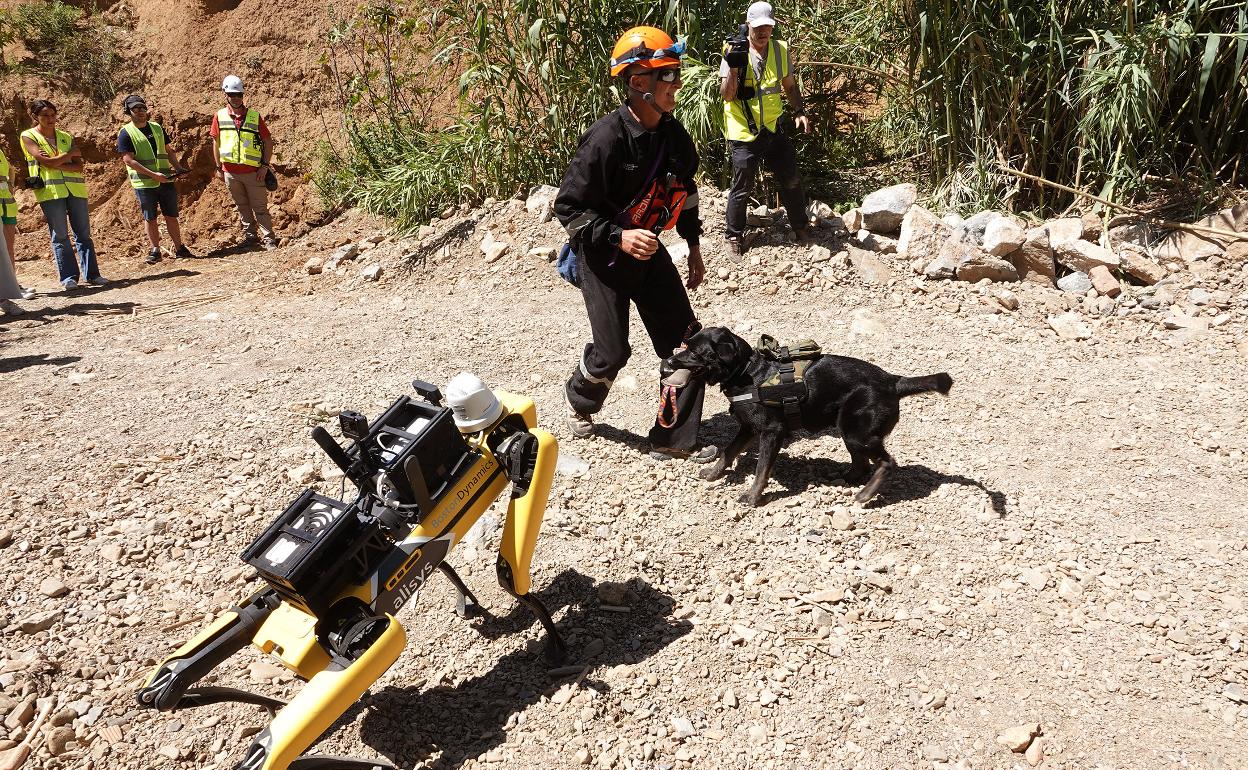 El perro real y el robot han formado equipo en una de las tareas de rescate desarrolladas en las jornadas. 