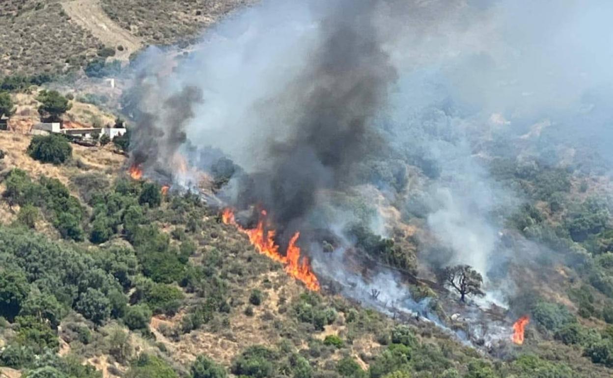 Imagen del incendio forestal declarado este sábado en Marbella