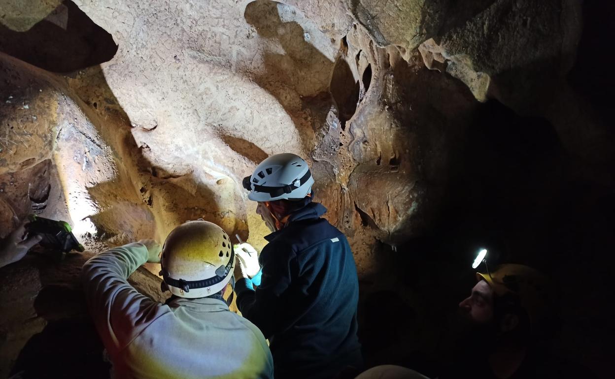 El homo sapiens ya mostró interés por el marisco y el 'pescaíto' hace 15.000 años en la Cueva de la Victoria de Rincón