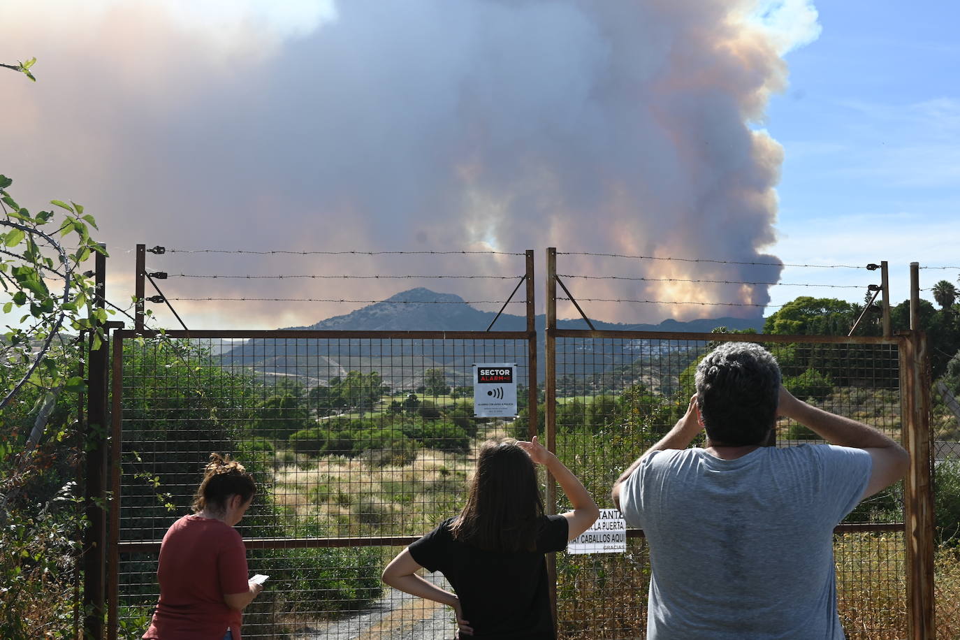 Las llamas vuelven a la zona de Pujerra y Sierra Bermeja. 