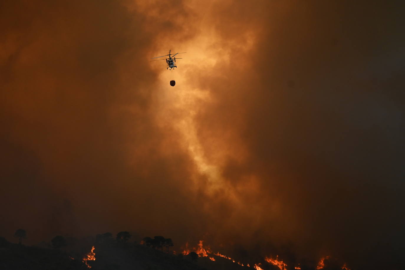 Las llamas vuelven a la zona de Pujerra y Sierra Bermeja. 