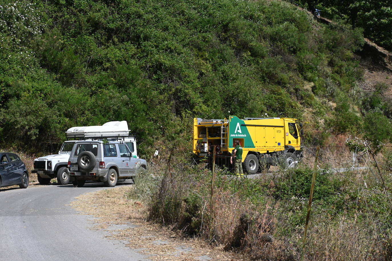 Las llamas vuelven a la zona de Pujerra y Sierra Bermeja. 