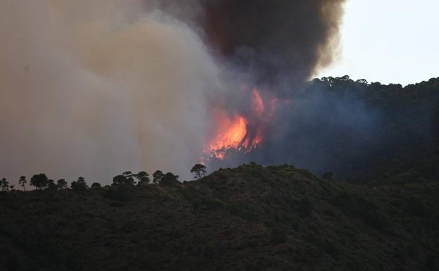 Incendio de Sierra Bermeja, en directo | La noche se complica con nuevos desalojos y tres bomberos heridos