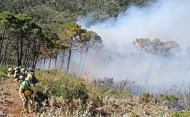 Imagen principal - Dispositivos de Plan Infoca y el consejero de Presidencia de la Junta, Elías Bendodo, en el puesto de mando 