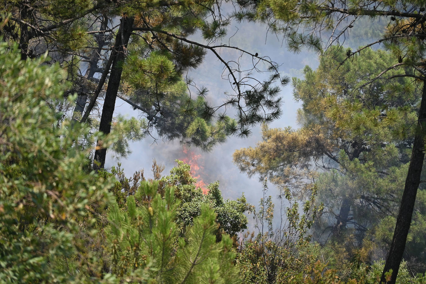 Lucha contra las llamas este jueves en Sierra Bermeja. 