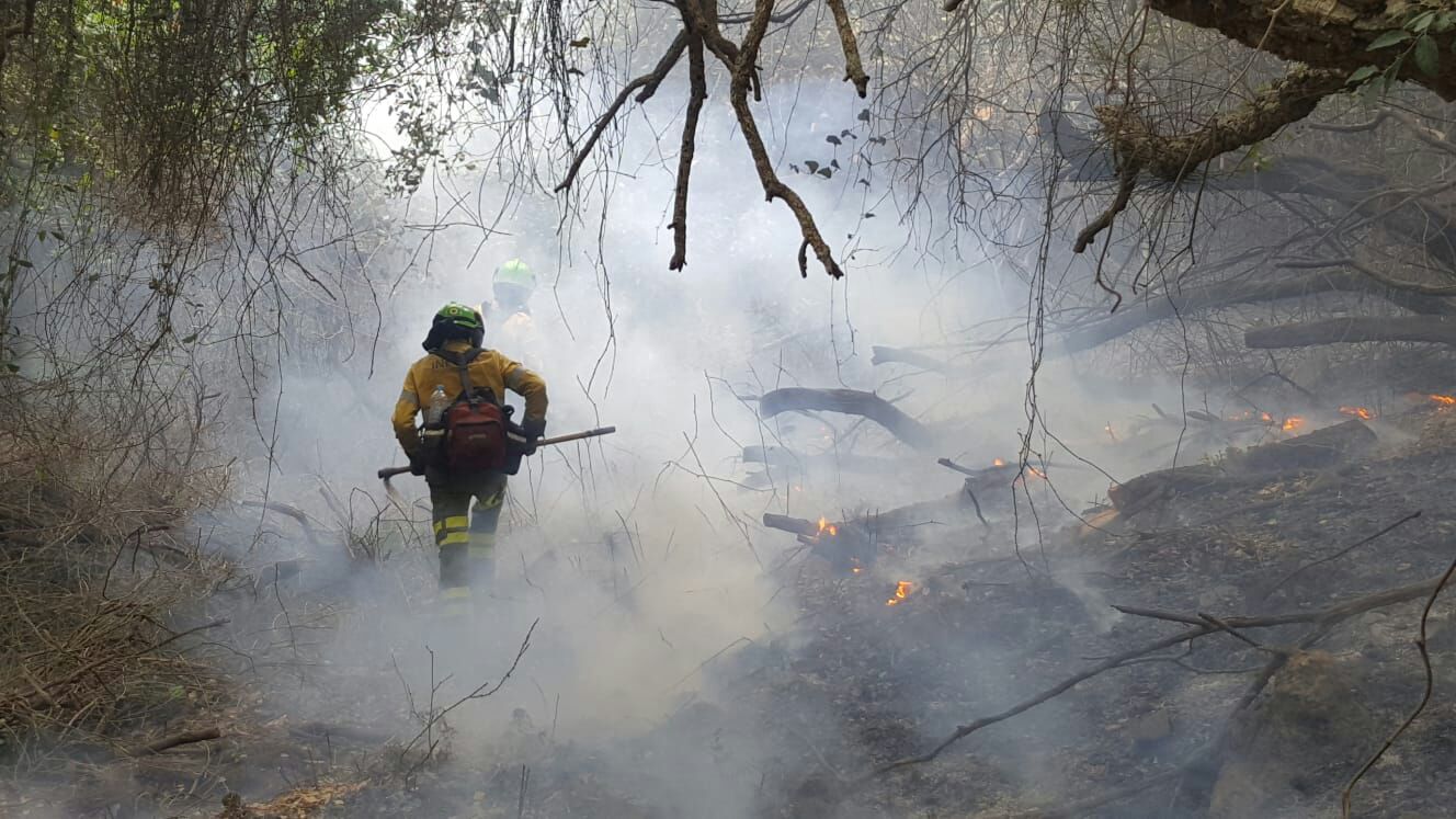 Las llamas vuelven a la zona de Pujerra y Sierra Bermeja. 