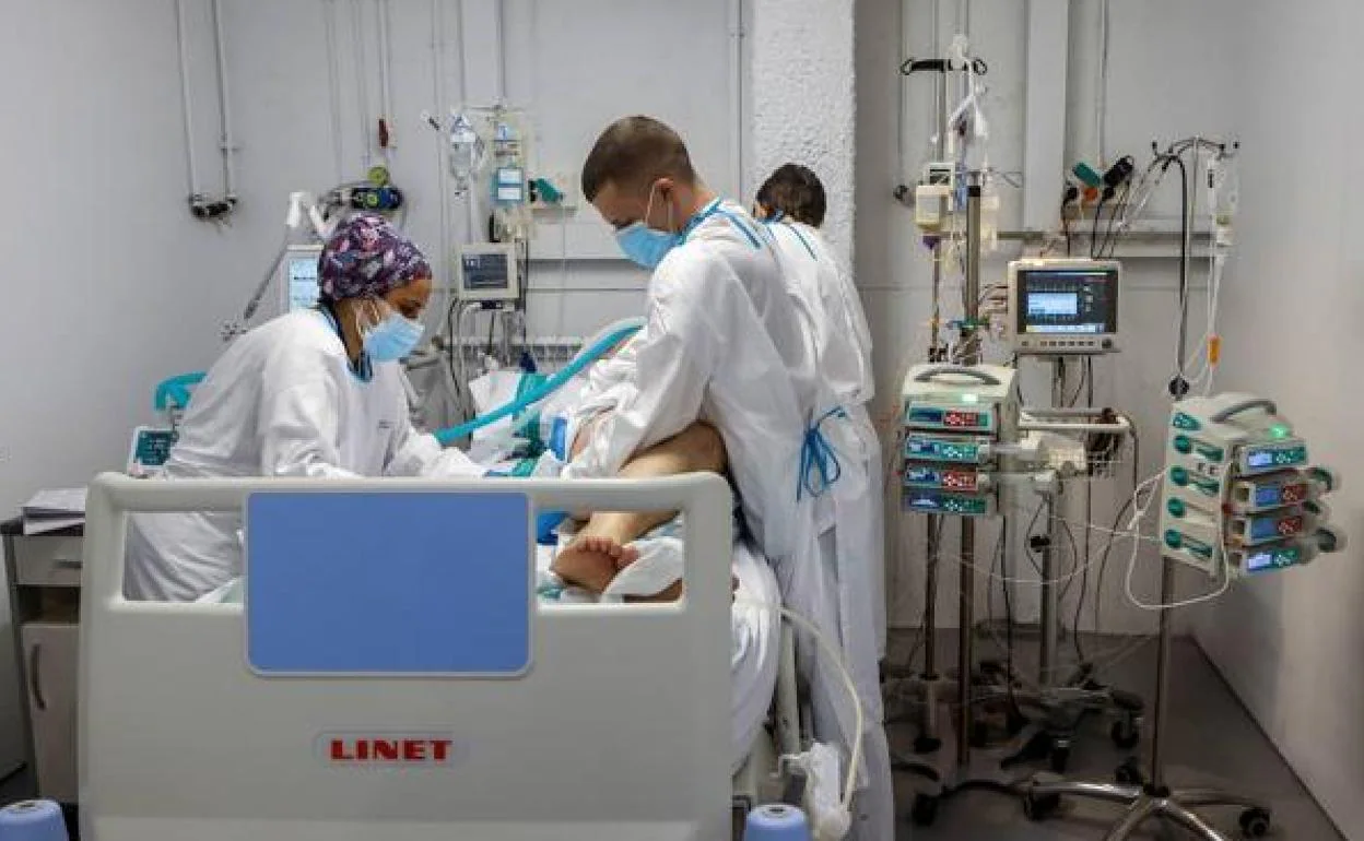 Ébola, covid o viruela del mono: Las enfermedades transmitidas por los animales al hombre aumentan el riesgo de nuevas pandemias