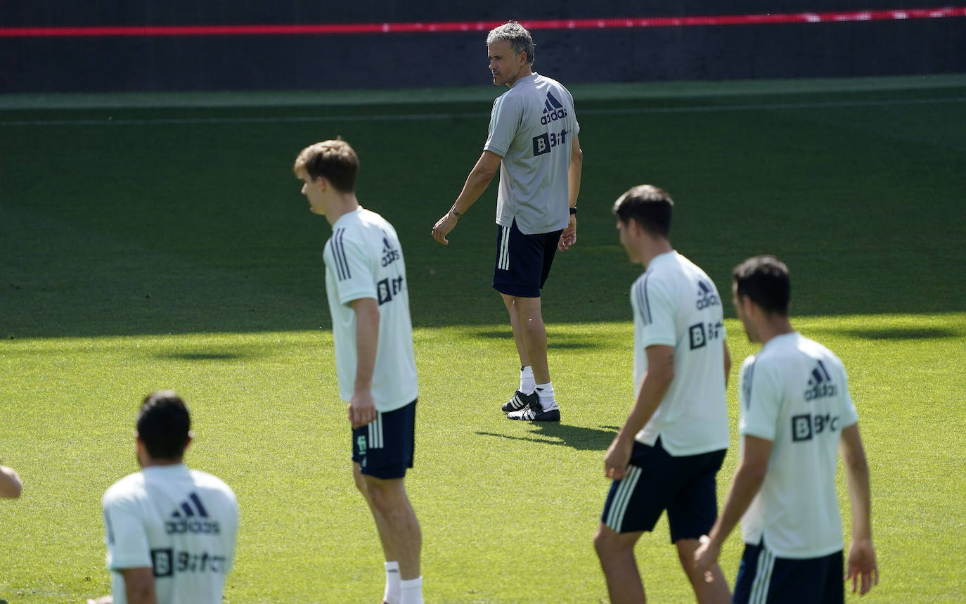 Fotos: El entrenamiento de la selección española en La Rosaleda en imágenes