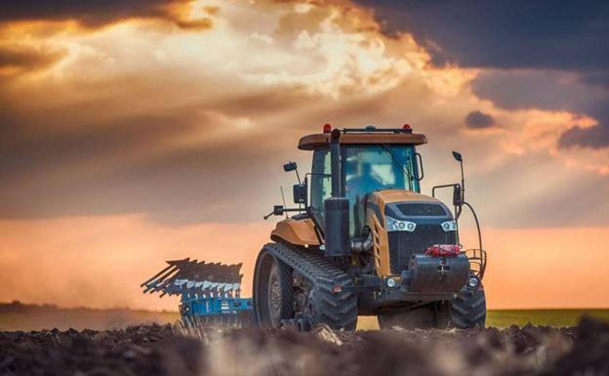 Un agricultor, en plena labor con su tractor en una explotación de Málaga. 