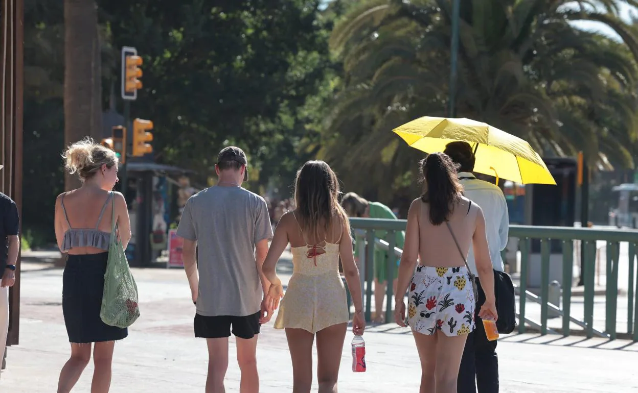 Un guía turístico se protege del sol bajo un paraguas en Málaga. 