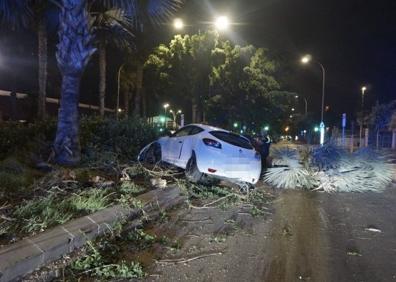 Imagen secundaria 1 - Accidente en el paseo marítimo de Málaga: arranca una palmera con el coche y da positivo en alcohol