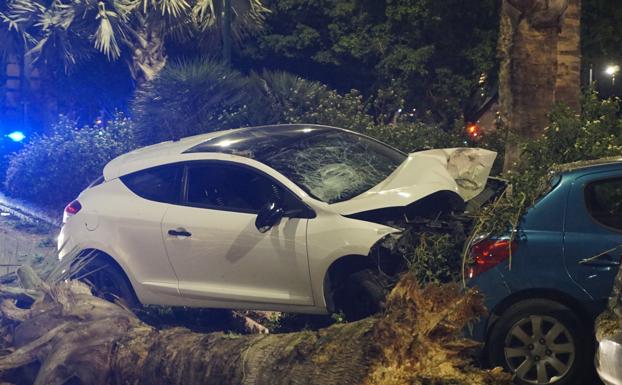 Imagen principal - Accidente en el paseo marítimo de Málaga: arranca una palmera con el coche y da positivo en alcohol