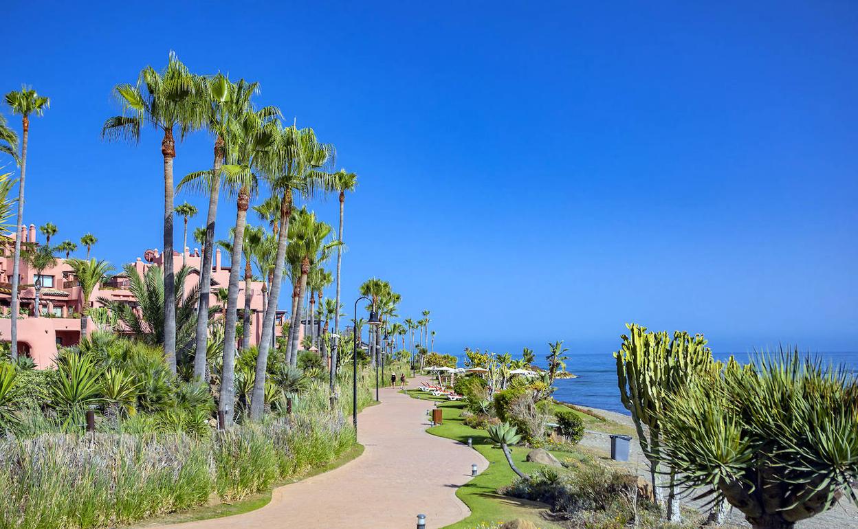 Imagen antes de la actuación de una playa de Estepona.