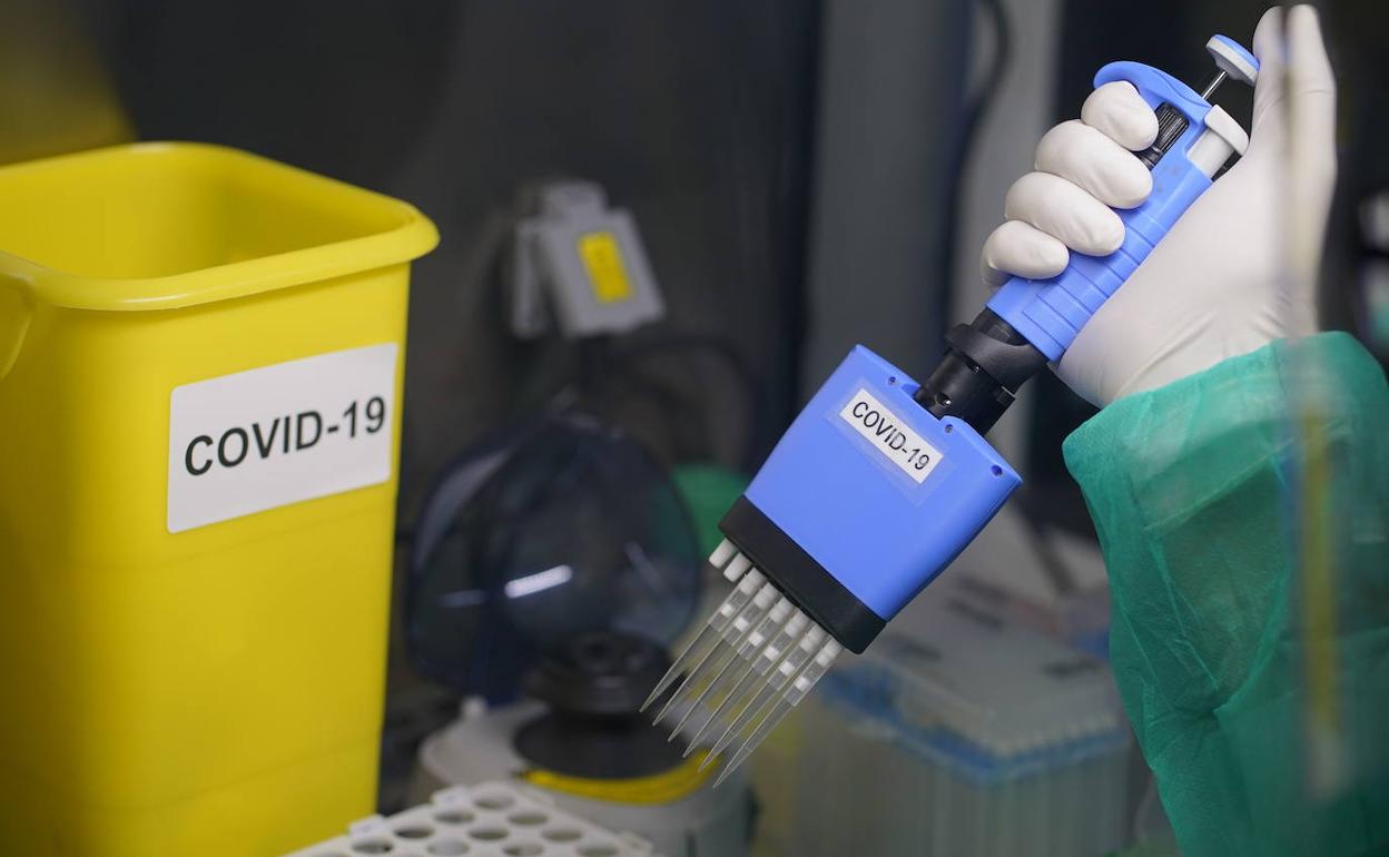 Imagen de archivo del análisis de tests PCR en laboratorio para detectar la presencia del coronavirus SARSCoV-2. 