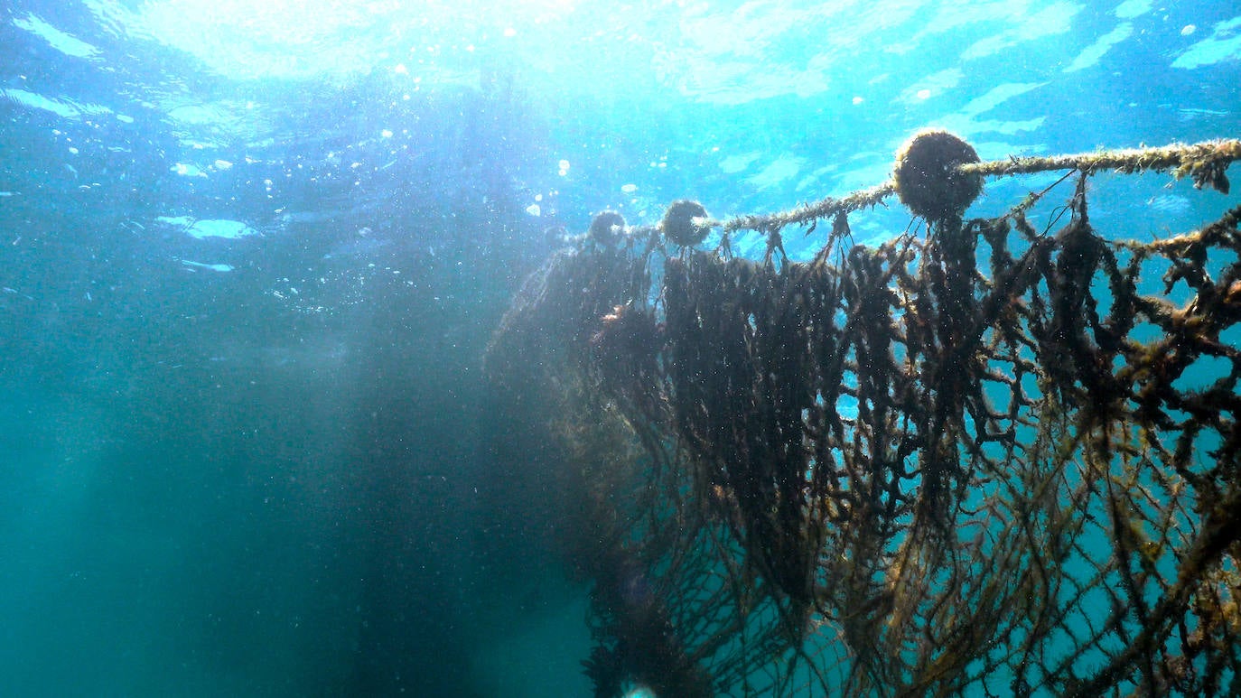 Fotos: Buceadores retiran una red abandonada frente a los Baños del Carmen