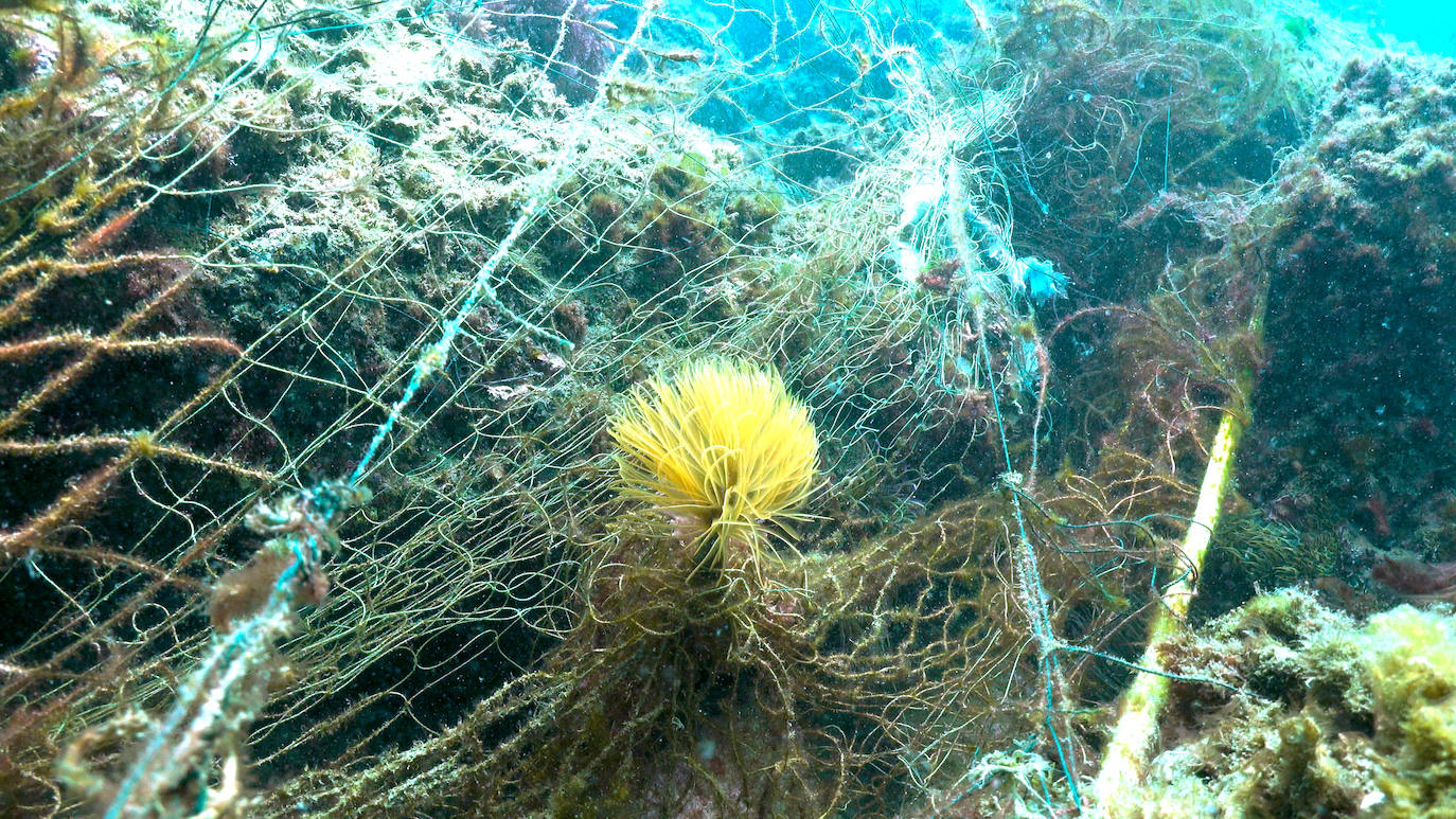 Fotos: Buceadores retiran una red abandonada frente a los Baños del Carmen