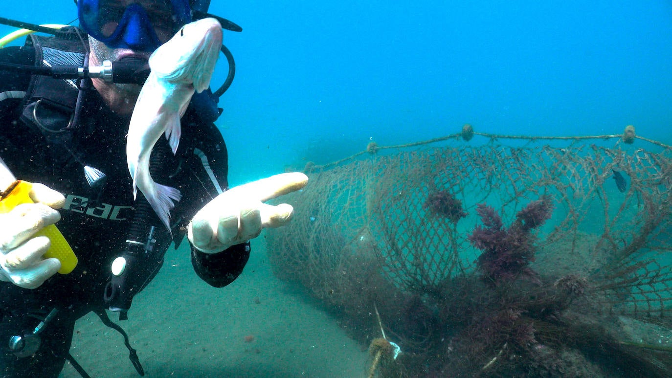 Fotos: Buceadores retiran una red abandonada frente a los Baños del Carmen