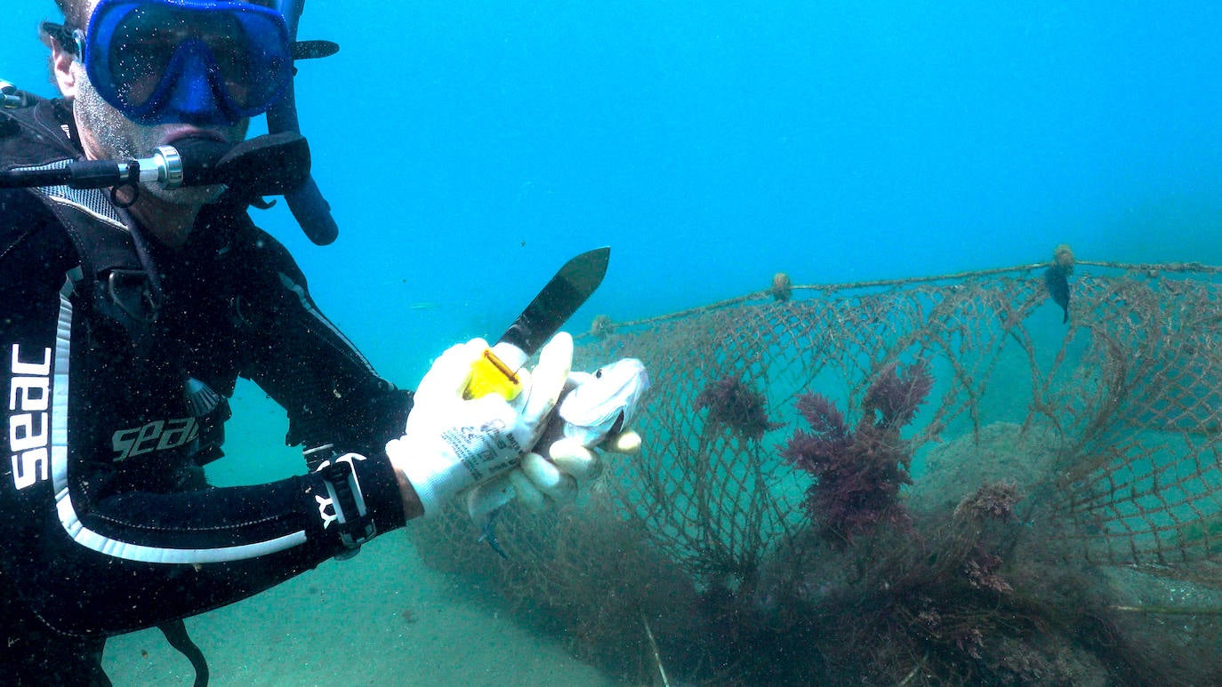 Fotos: Buceadores retiran una red abandonada frente a los Baños del Carmen