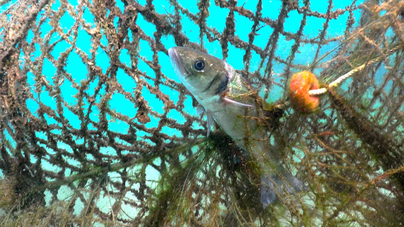 Fotos: Buceadores retiran una red abandonada frente a los Baños del Carmen