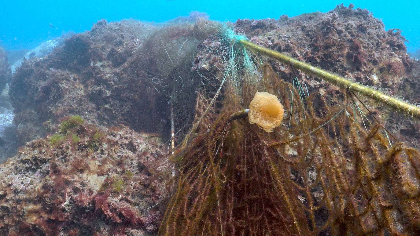 Fotos: Buceadores retiran una red abandonada frente a los Baños del Carmen