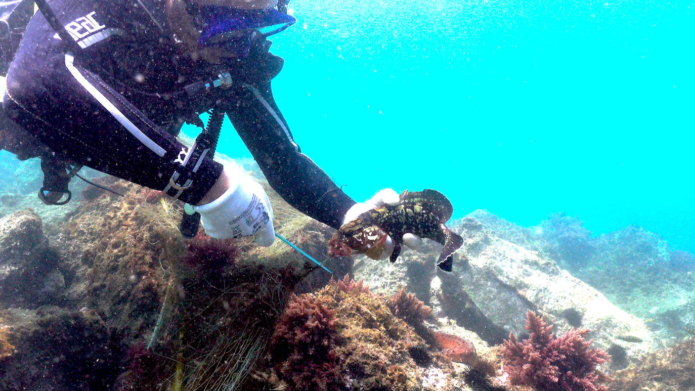 Fotos: Buceadores retiran una red abandonada frente a los Baños del Carmen