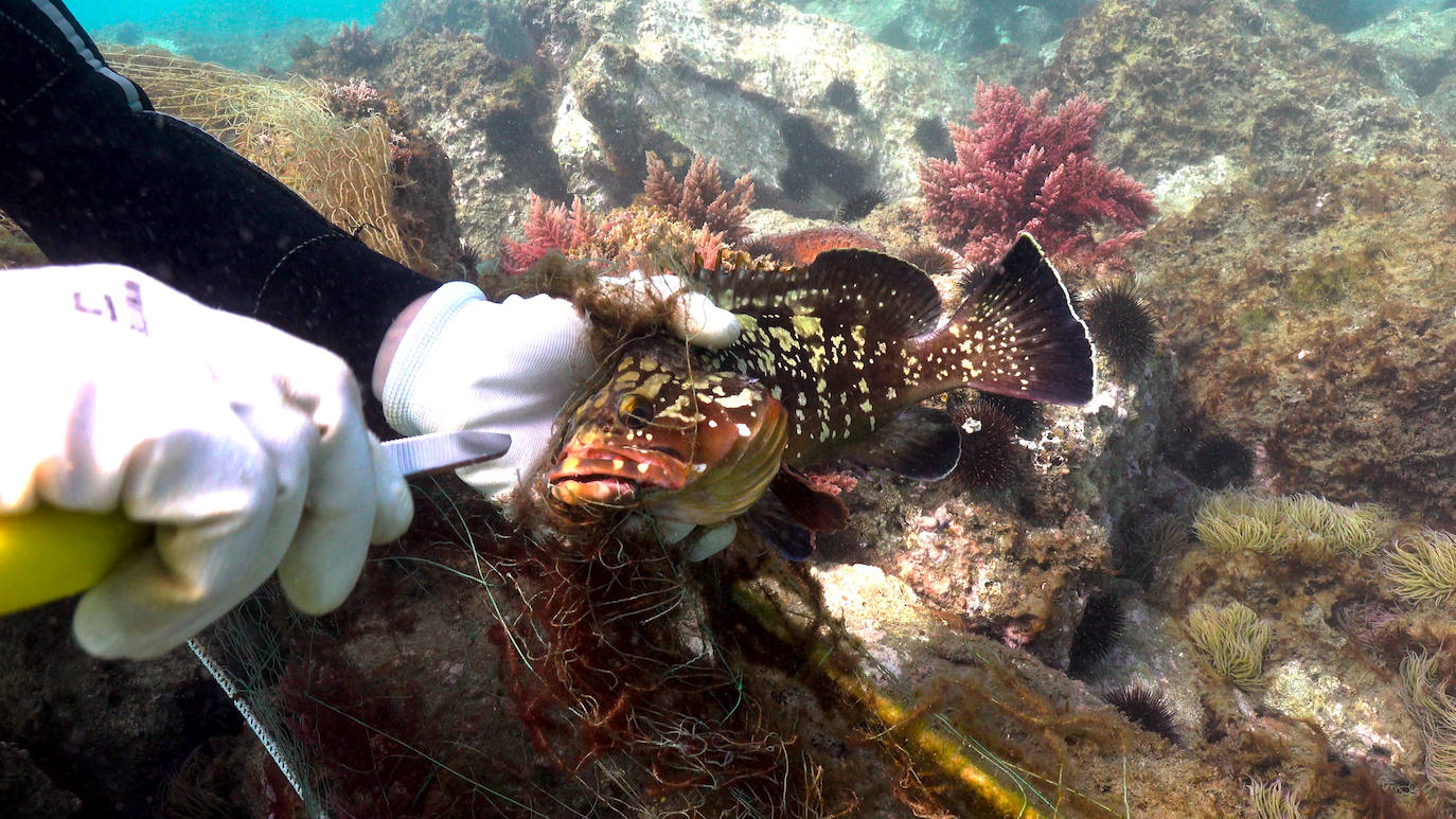 Fotos: Buceadores retiran una red abandonada frente a los Baños del Carmen