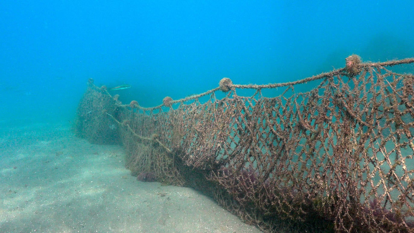 Fotos: Buceadores retiran una red abandonada frente a los Baños del Carmen