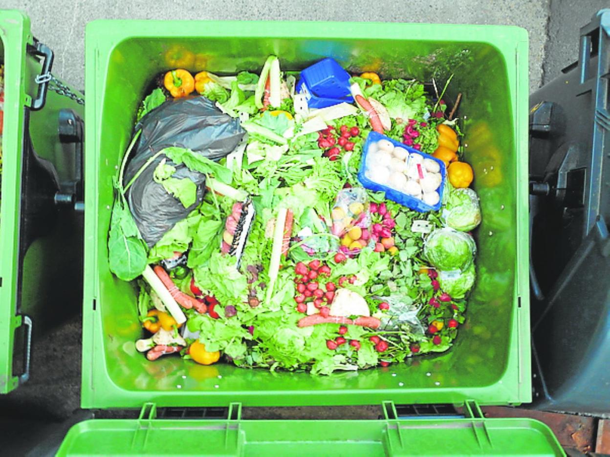 Contra el desperdicio de alimentos