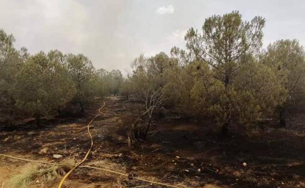 Evacuado el parque temático «Puy du Fou» por un incendio forestal