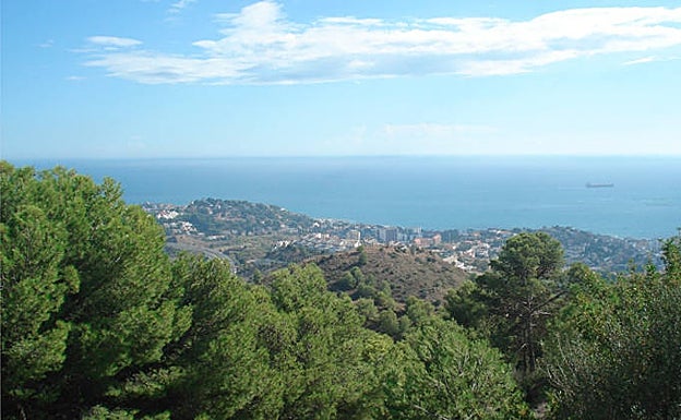 Vistas de la zona, poblada por pinos carrascos. 