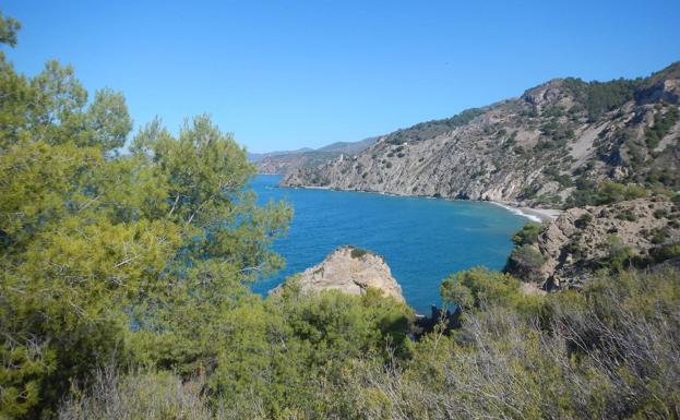 Paraje natural de los Acantilados de Maro.