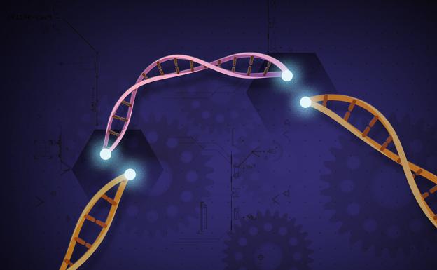 Ilustración simbólica de la técnica de edición genética CRISPR. 