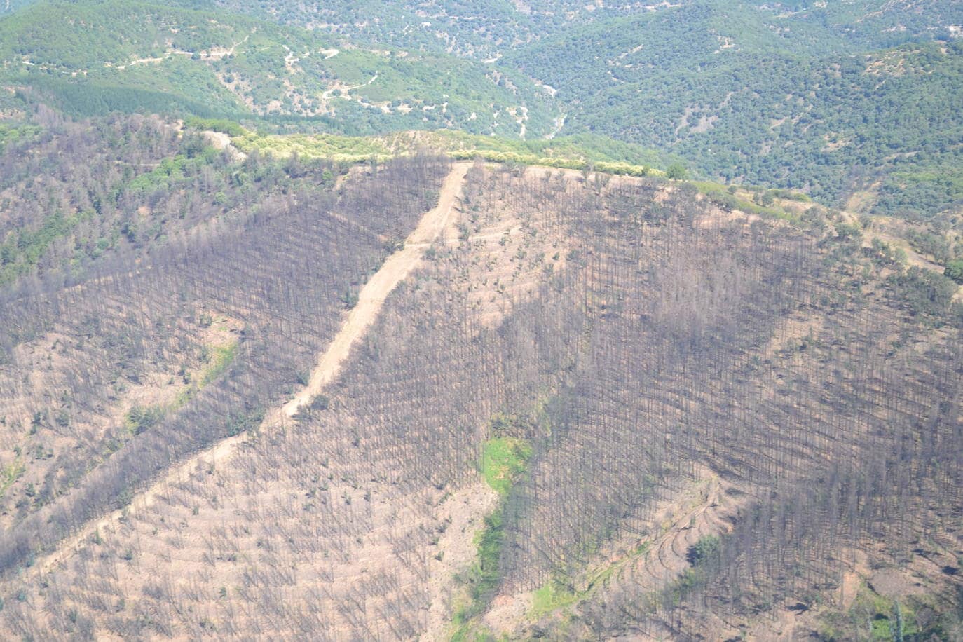 El incendio forestal originado en Pujerra se dio por extinguido después de casi 20 días de lucha contra las llamas