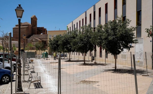 Han retirado varios árboles para la instalación de la pérgola que se levantó junto a Santo Domingo. 