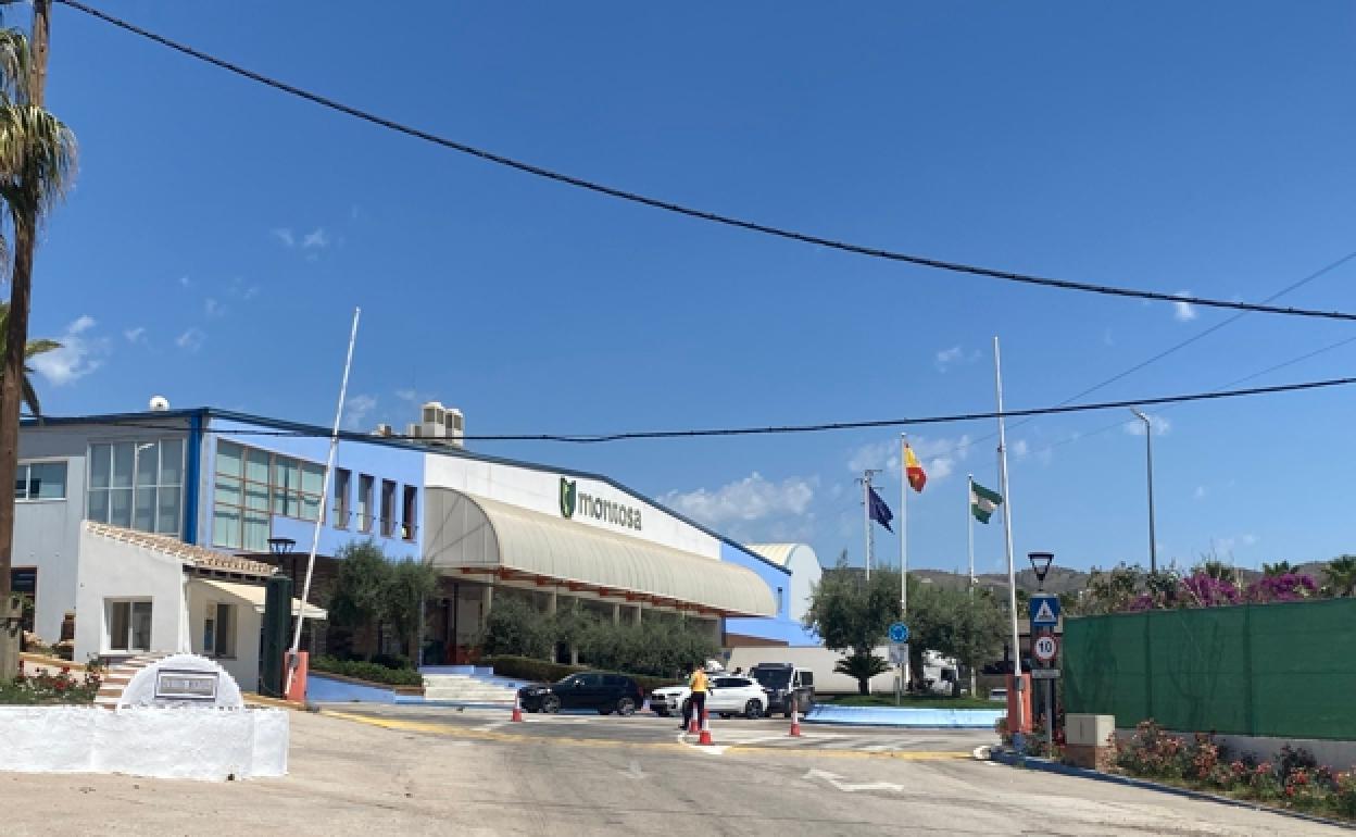 Instalaciones de la empresa Frutas Montosa, con sede en Vélez-Málaga. 