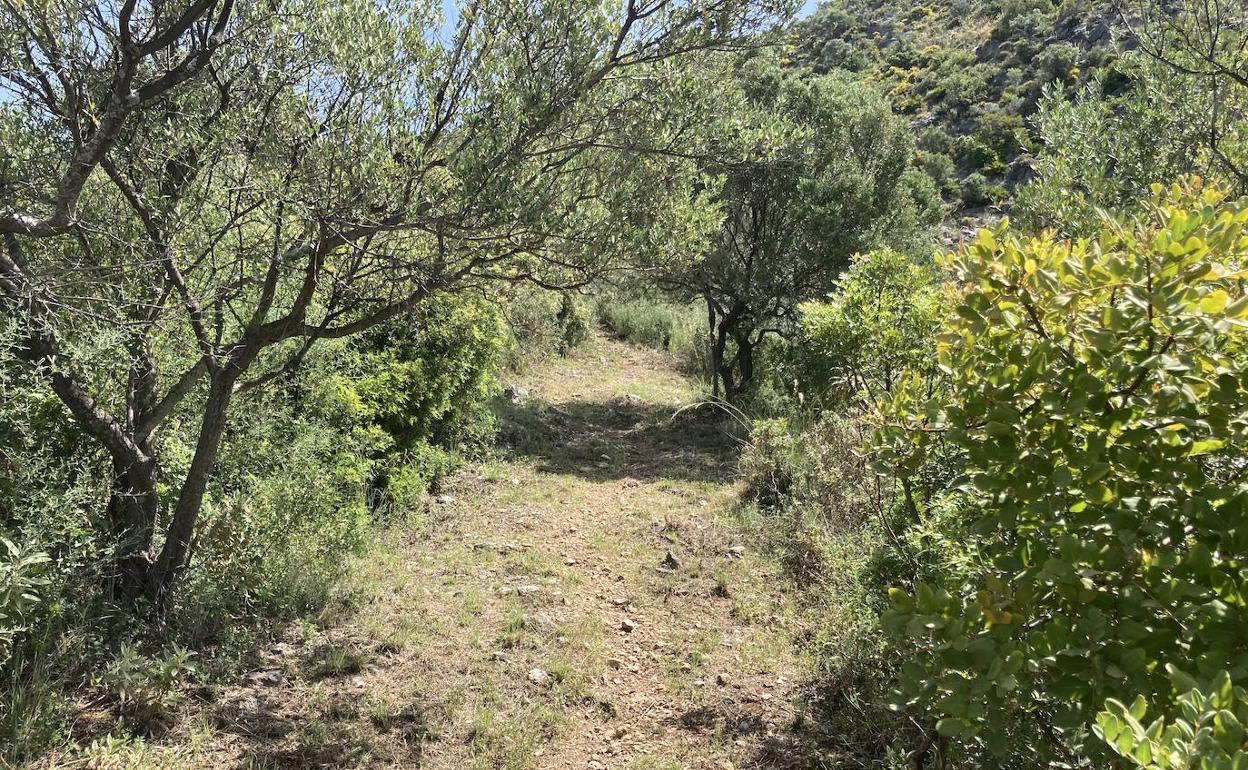 Istán ha abierto un camino para evacuar a excursionistas perdidos. 