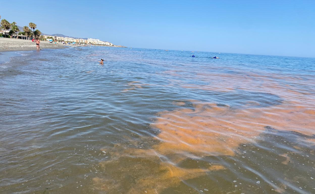 Imagen de las manchas naranjas, este miércoles en la nerjeña playa de El Playazo.