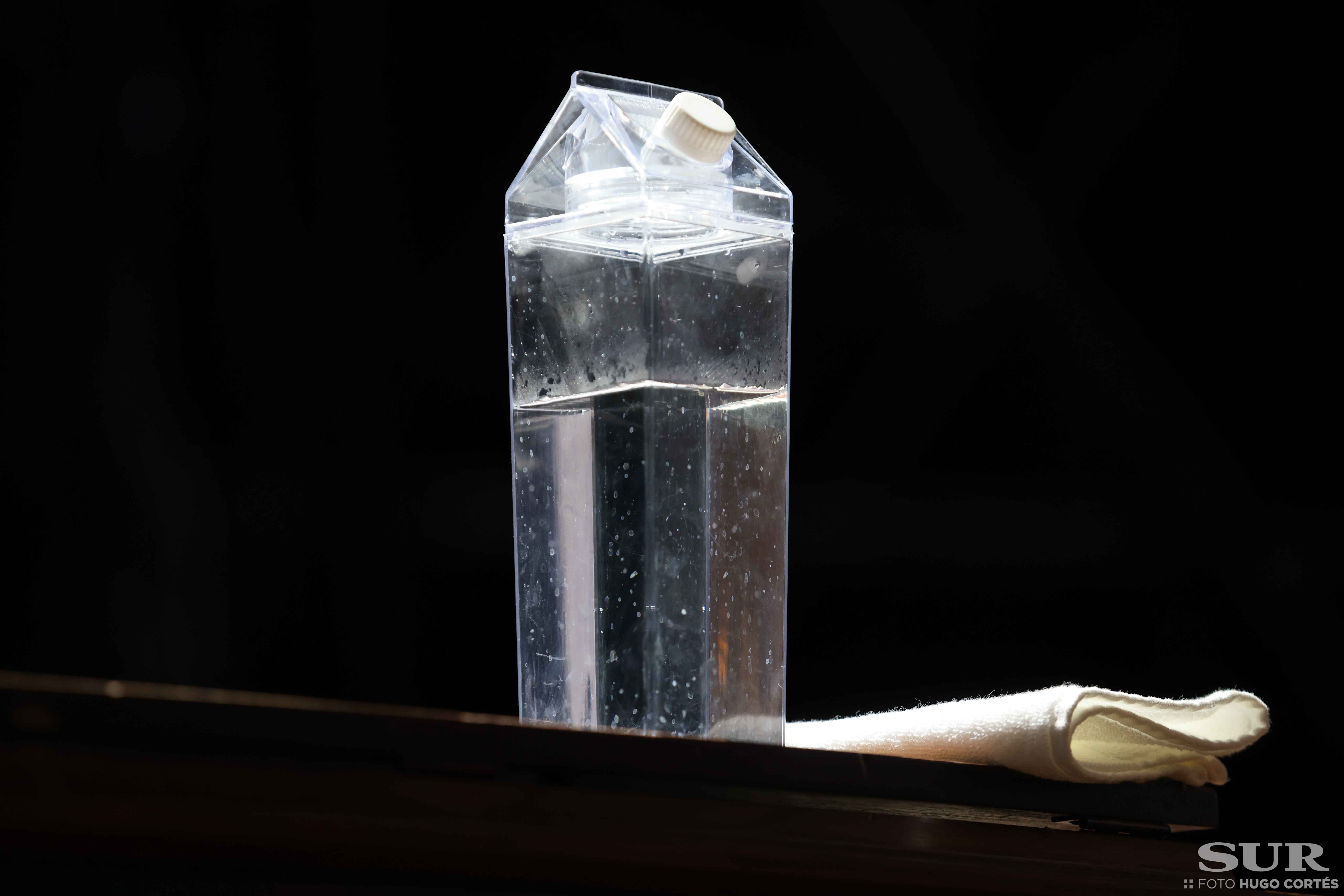 Rosalía ha actuado en Fuengirola. 