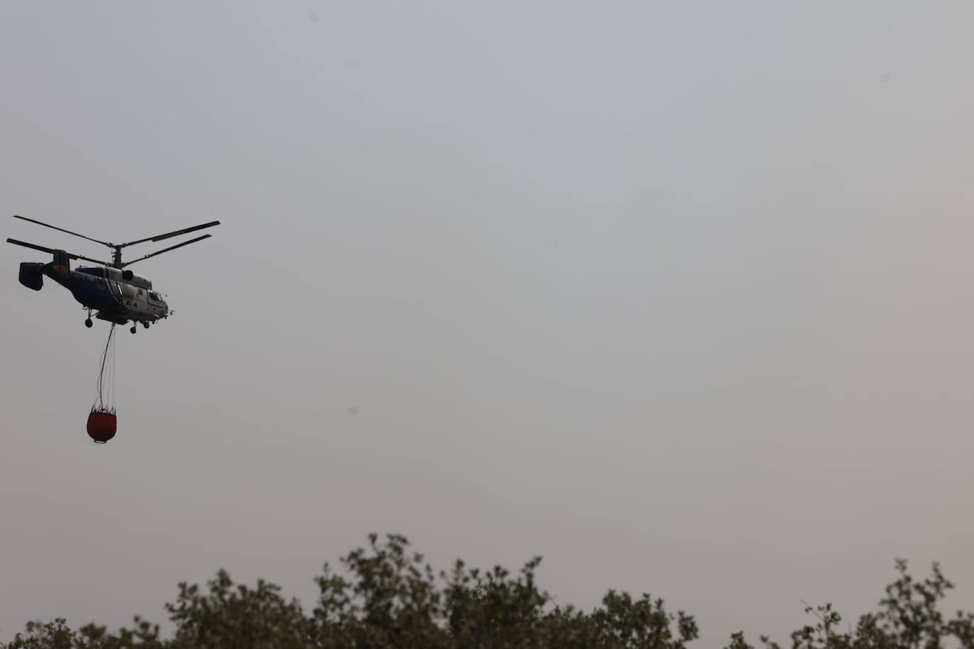 Vista del incendio desde la zona de Alhaurín de la Torre 