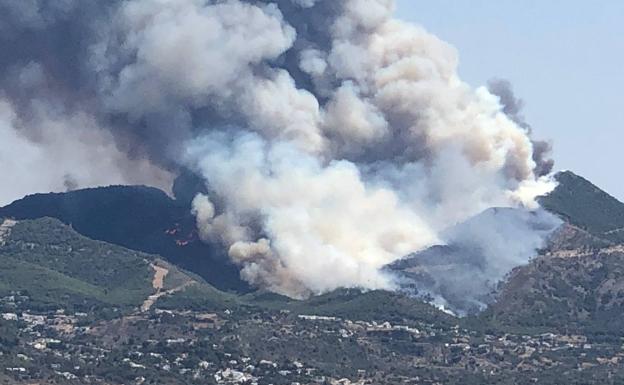 Incendio Málaga: Unos 300 efectivos trabajarán durante la noche en el incendio de Alhaurín el Grande